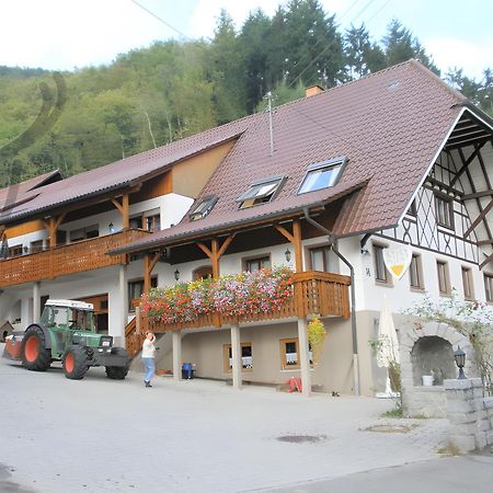 Ferienwohnung Schneckenhus Lautenbach エクステリア 写真