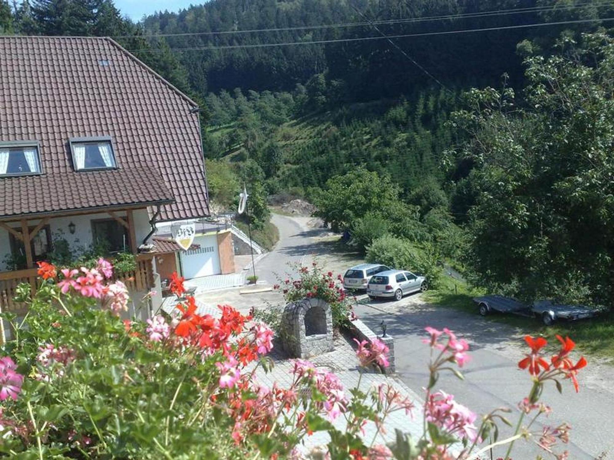 Ferienwohnung Schneckenhus Lautenbach エクステリア 写真