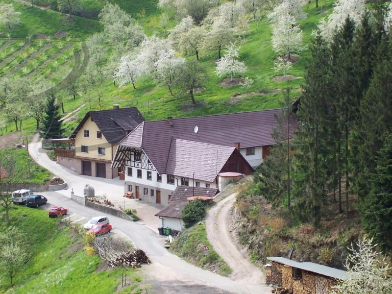 Ferienwohnung Schneckenhus Lautenbach エクステリア 写真