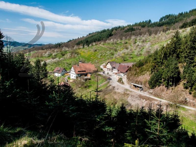 Ferienwohnung Schneckenhus Lautenbach エクステリア 写真