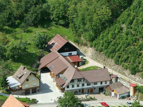 Ferienwohnung Schneckenhus Lautenbach エクステリア 写真
