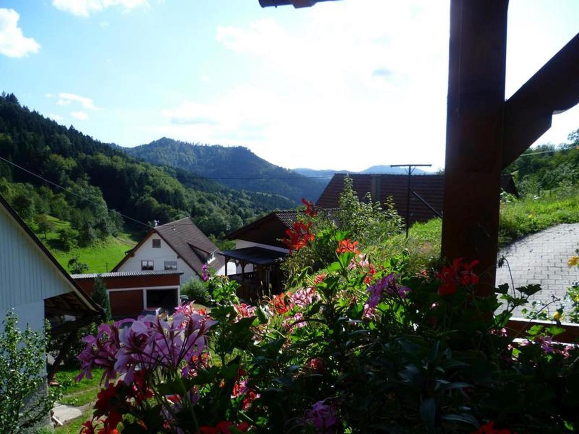 Ferienwohnung Schneckenhus Lautenbach エクステリア 写真
