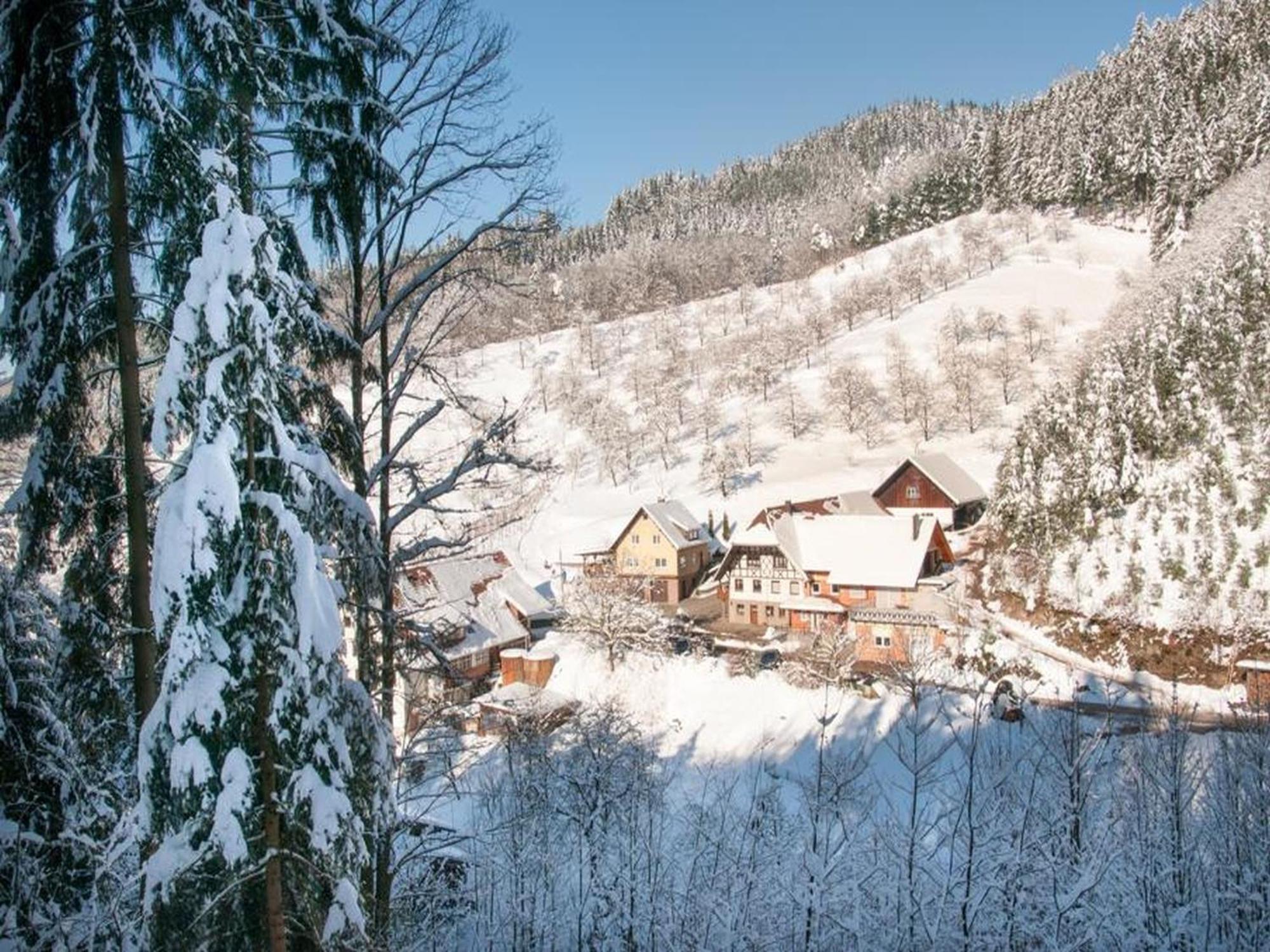 Ferienwohnung Schneckenhus Lautenbach エクステリア 写真
