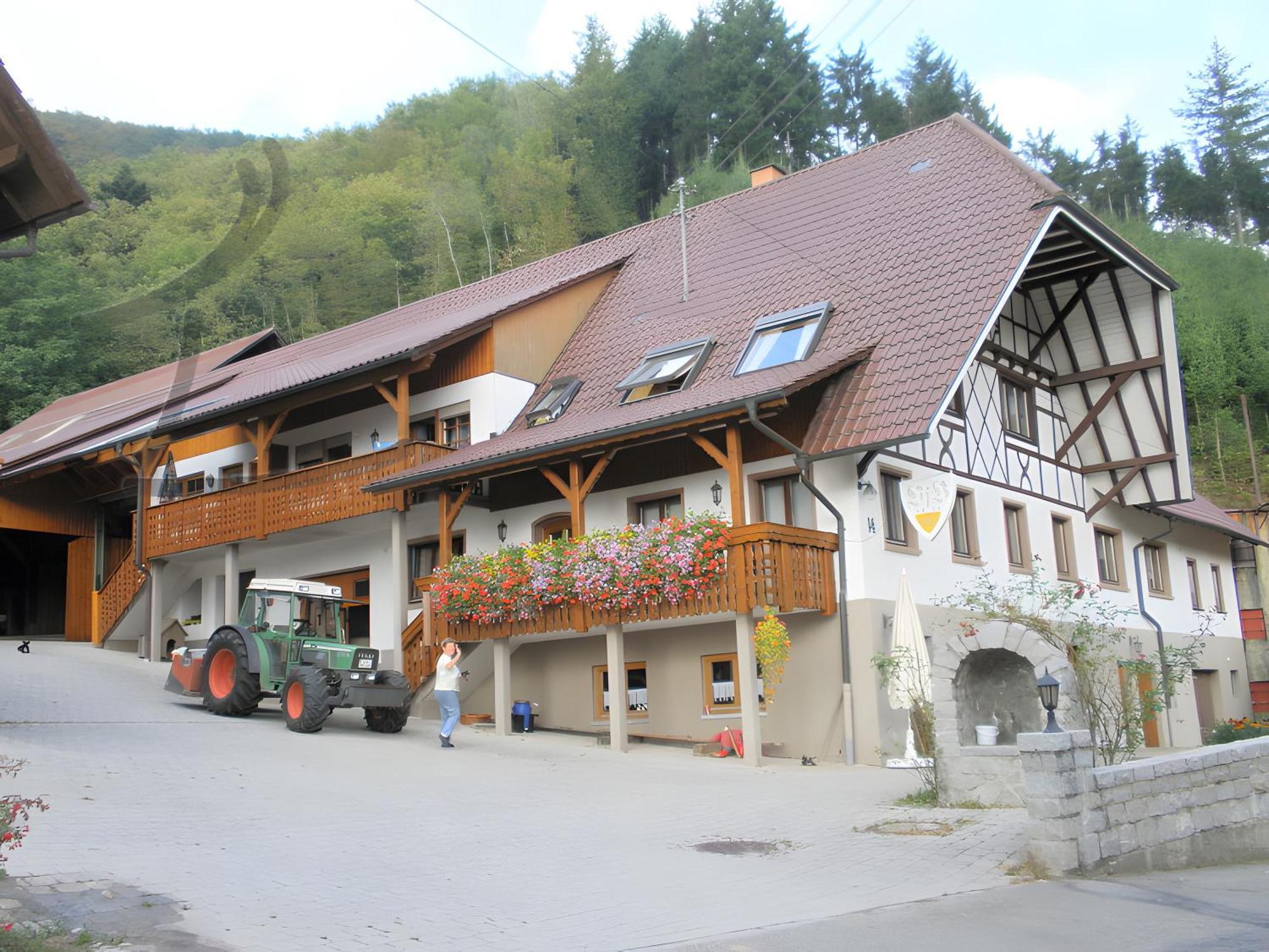 Ferienwohnung Schneckenhus Lautenbach エクステリア 写真