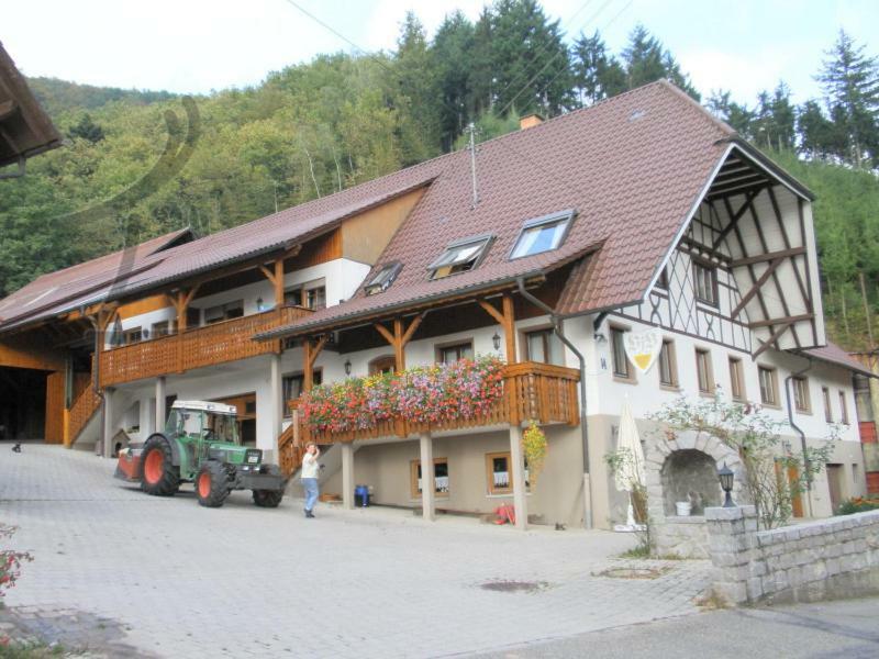 Ferienwohnung Schneckenhus Lautenbach エクステリア 写真